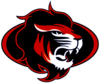Lions Logo Cut Big Image